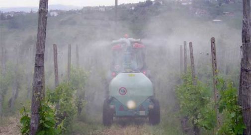 Pieve di Soligo, pesticidi sparati sulla pista ciclabile. Un passante ... - Oggi Treviso