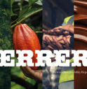 Ferrero, raggiunto 90% di tracciabilità nella filiera della nocciola.