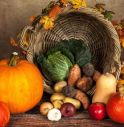 Ora solare, dalla zucca ai broccoli fino al melograno: i cibi autunnali per ritrovare l’equilibrio.