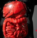 Farmaci, Aifa approva mirikizumab anche nel trattamento della malattia di Crohn.