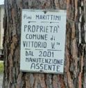 pini marittimi vittorio veneto