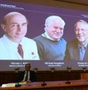 Nobel Medicina a scienziati per scoperta virus epatite C