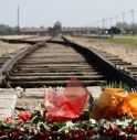 Giorno della Memoria, Auschwitz