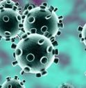 Coronavirus, isolato il ceppo italiano 