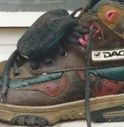 Il cadavere di una donna assassinata ha come unico indizio un paio di scarpe prodotte a Montebelluna