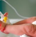 neonato