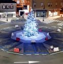 Piazza Tommaseo con albero