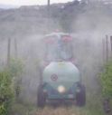 A Miane e Cison pesticidi nei centri abitati e in strade pubbliche