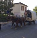 A Pieve qualcuno si sposta (ancora) con carretto e cavalli