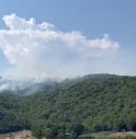 Incendi: migliora la situazione, ma soccorritori ancora impegnati