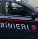 Esce di strada con il furgone rubato poco prima, arrestato 