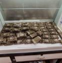 Hashish nascosto tra la lana grezza, tre veronesi arrestati 