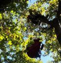 Doppia emergenza per il soccorso alpino, ciclista ferita e parapendista bloccato tra gli alberi