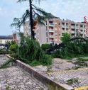 Maltempo in Veneto, Zaia decreta stato emergenza 