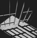 Rapina a Fontanelle, arrestato 29enne di Mareno