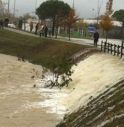 Nubifragio sommerge Conegliano, residenti nel panico