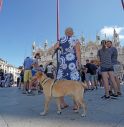 'Ticket Venezia un fallimento, arrivano più turisti'  