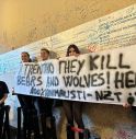 Orsi in Trentino, protesta animalisti alla Casa di Giulietta