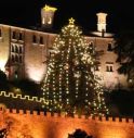 L'albero di Natale più alto del Veneto