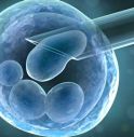 Sai cosa sono le cellule staminali e come si donano?