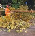 Maltempo a Mogliano: richiesto lo stato di calamità. I cittadini potranno segnalare i danni subiti