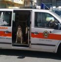 L'ambulanza per gli animali c'è ma l'Oipa chiede un potenziamento del servizio