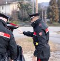 Treviso, li fermano con dosi di coca e marijuana pronte per lo spaccio