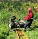 Preganziol, incidente tra auto e bici: ciclista ricoverato in ospedale