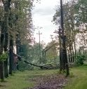 Maltempo, danni a Meduna di Livenza