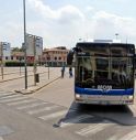 bus bus