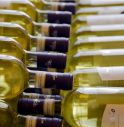 vino