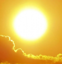sole