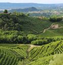 prosecco report confagricoltura