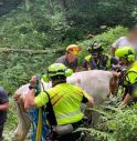 Mucca in difficoltà recuperata con l’elicottero