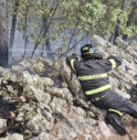 Rogo nel sottobosco sul Carso: intervento congiunto di terra e aria per domare le fiamme 