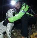 La cagnolina finisce nel dirupo, arriva il Soccorso Alpino