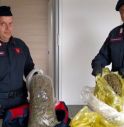 Vede l'auto dei Carabinieri e parte: in macchina le trovano oltre due chili di marijuana