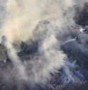 Dichiarato lo stato di grande pericolosità per incendi boschivi in provincia di Treviso