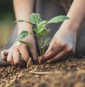 Marcolin,  Treedom, 10mila alberi nel mondo