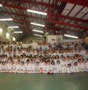 Judo Vittorio Veneto: 2014 da incorniciare