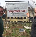 Gli orti urbani a Treviso 