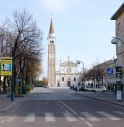 Cadono mentre potano gli alberi del parco