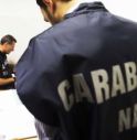 Carne avariata in scuole e ospedali: blitz dei Nas