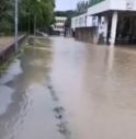 Esondazioni, odori e sversamenti: l'Avenale è un problema