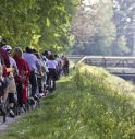 PedalAvis, in bici per la solidarietà