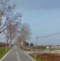 20 platani in meno. 100 alberi in più