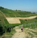 Camminatori della Postumia, tappa a Castelfranco