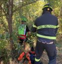 Esce di strada e finisce in una scarpata: auto frenata dagli alberi