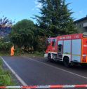 Furiose raffiche di vento sradicano alberi: traffico in tilt