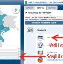 Come hanno votato i Trevigiani